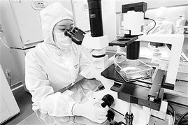 干细胞疗法的 春天 渐行渐近