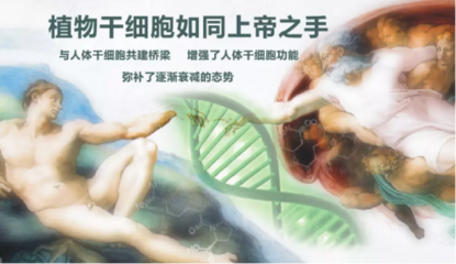 年轻之钥 干细胞技术的突破与应用前景