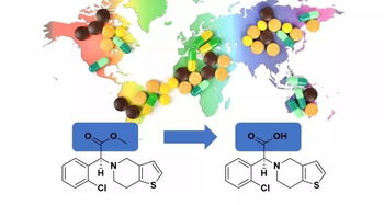 肝脏与肠道酯酶在药物代谢中的关键角色及其与新药研发及干细胞技术的协同展望
