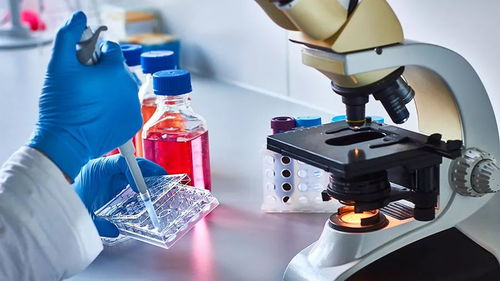 从突破性检测到再生医学 血液筛查与干细胞技术如何重塑卵巢癌防治未来