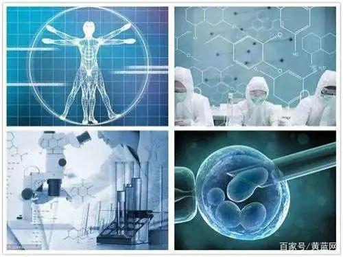 干细胞提高人体免疫力、抗衰老,人类能够健康地活到120岁不是梦?