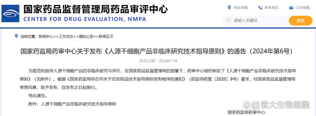 人源干细胞产品非临床研究技术指导原则解读与人体干细胞技术开发应用展望